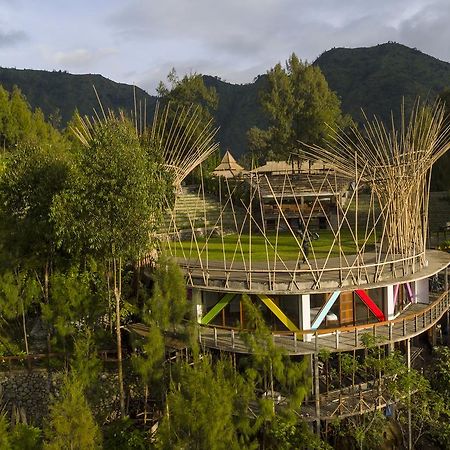 Pagupon Bromo Budget Lodge ภายนอก รูปภาพ