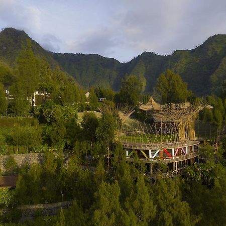 Pagupon Bromo Budget Lodge ภายนอก รูปภาพ